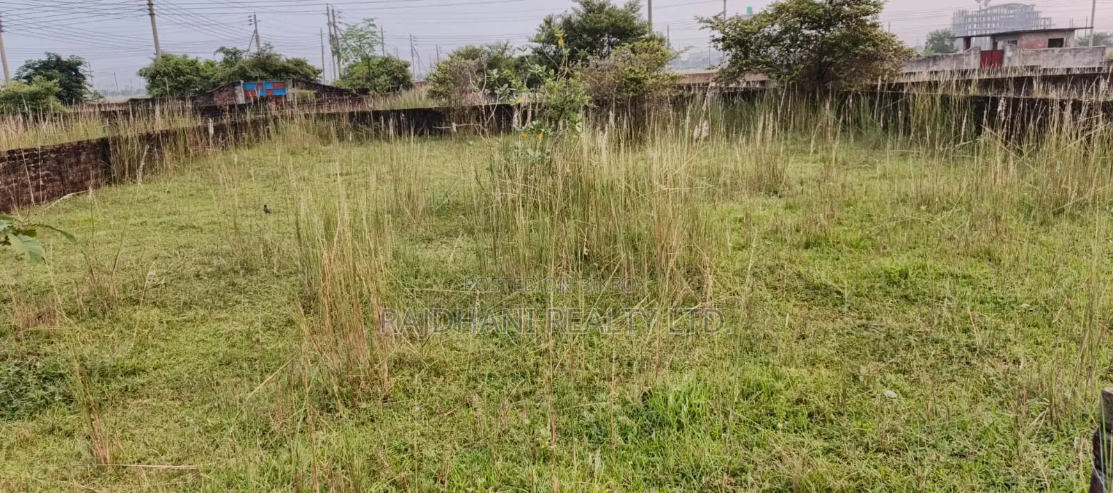 P Block, 5 Katha Plot for Sale Bashundhara, Baridhara. in Basundhara