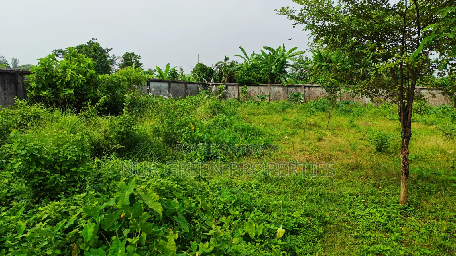 South-Facing 3 Katha Corner Plot For Sale in Purbachal