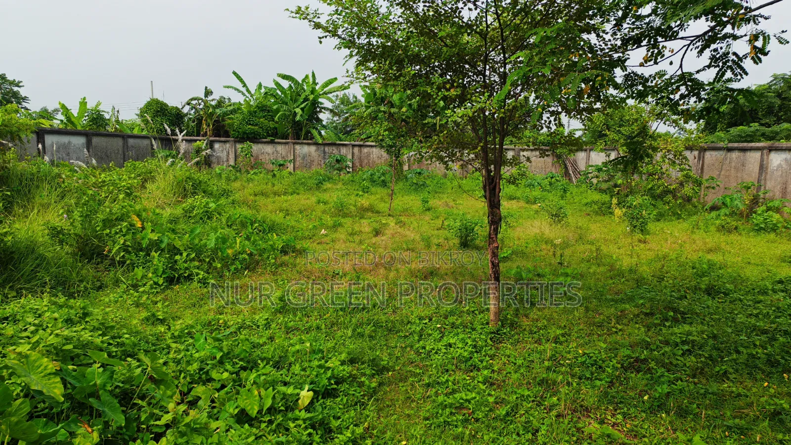 South-Facing 3 Katha Corner Plot For Sale in Purbachal