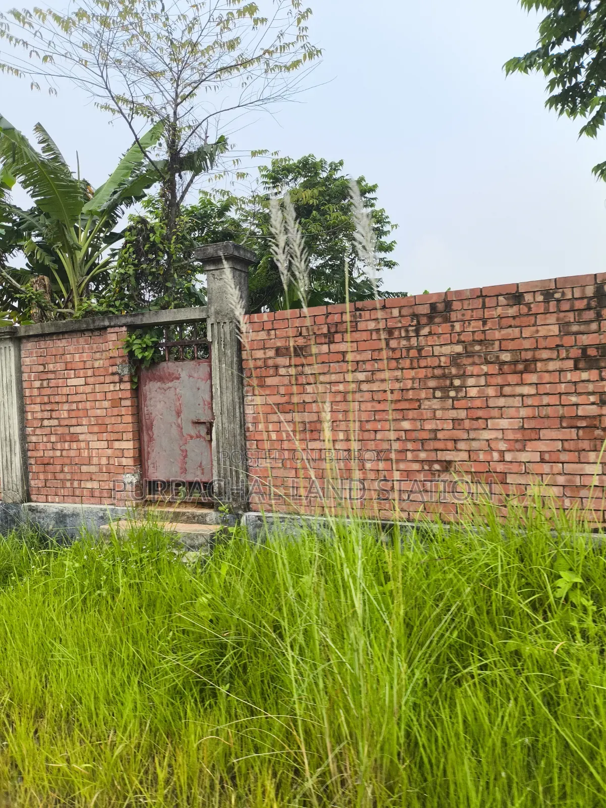 75 Feet Road South Face 3 Katha Plot Urgent Sale in Sector: 20, Purbachal in Purbachal