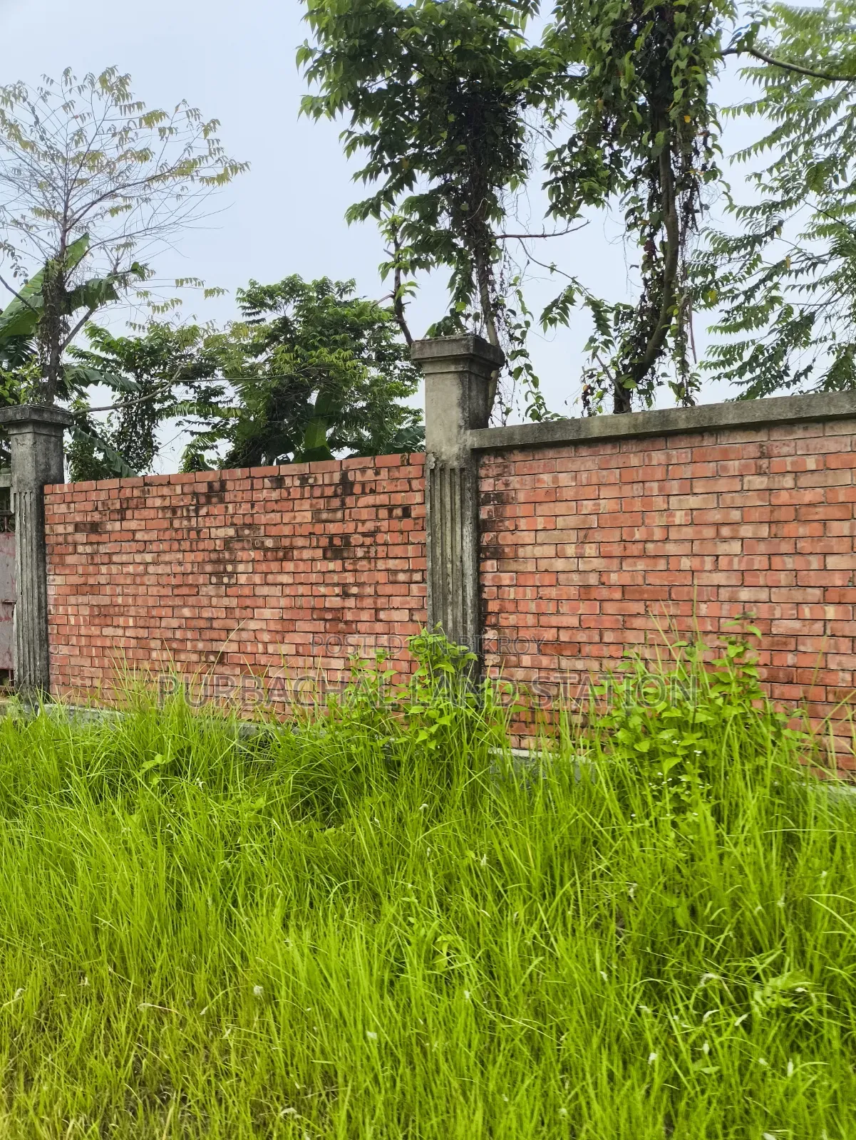 75 Feet Road South Face 3 Katha Plot Urgent Sale in Sector: 20, Purbachal in Purbachal