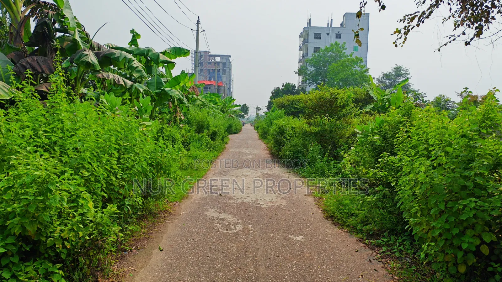 East-facing 5 katha plot for sale with 40-foot road in Purbachal