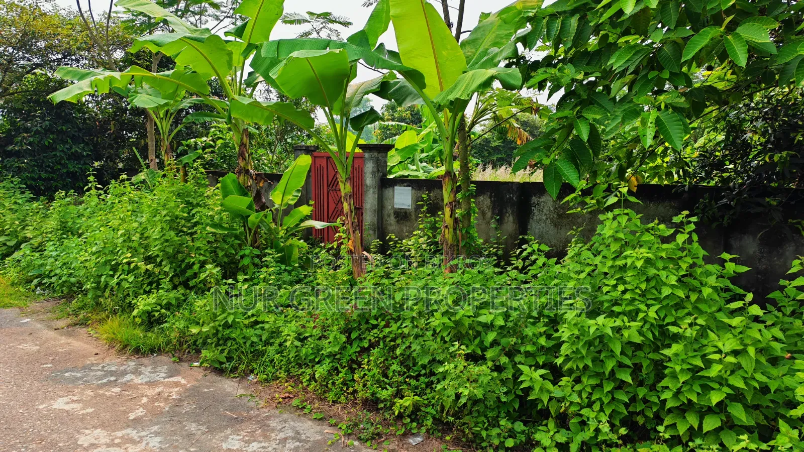 East-facing 5 katha plot for sale with 40-foot road in Purbachal