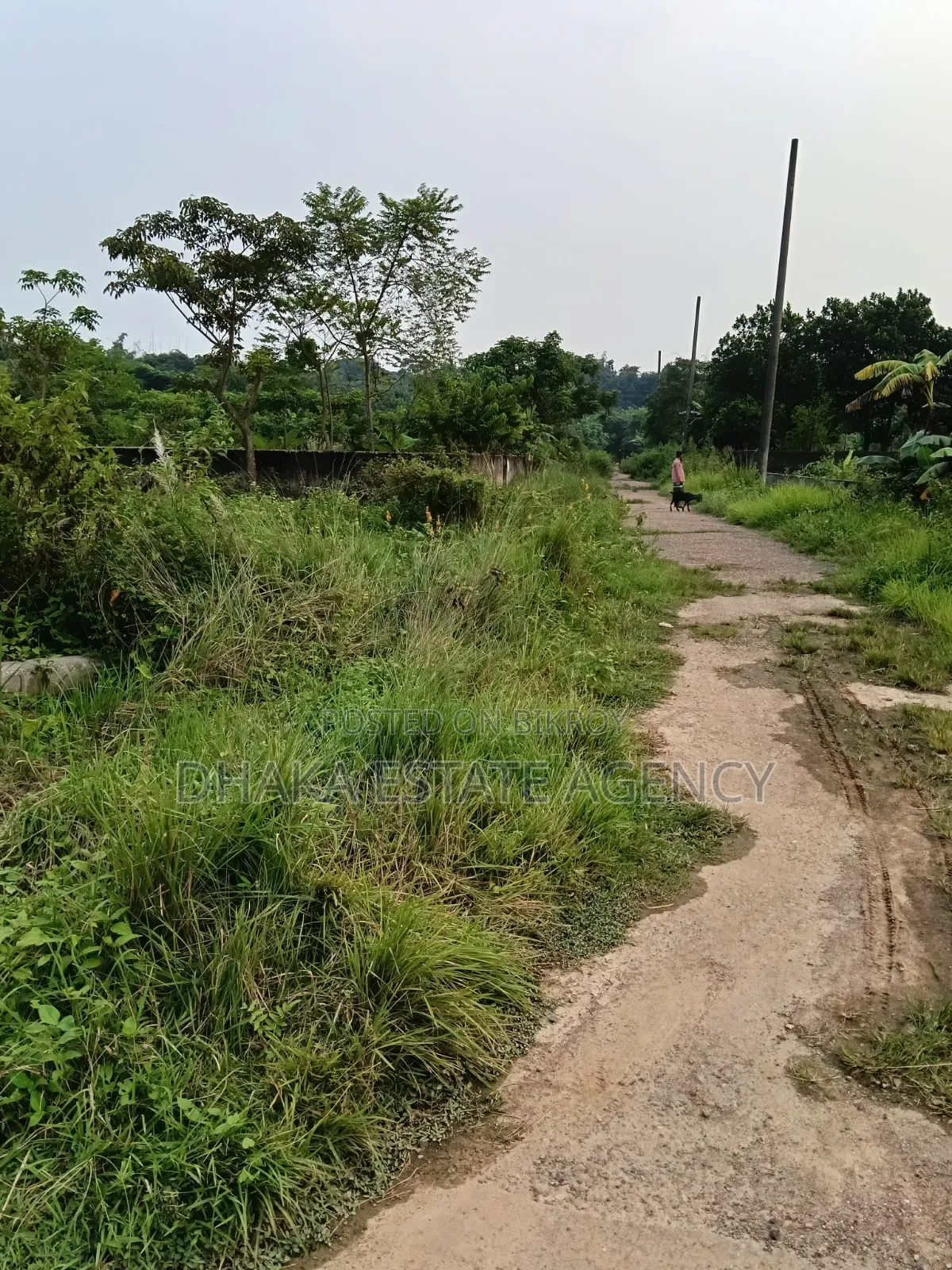 Sector-23, Business Category 3 Katha Plot Sale in Purbachal