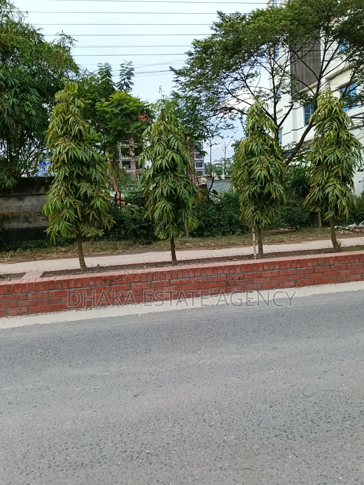 Block-M, Corner 10 Katha Plot Sale in Basundhara