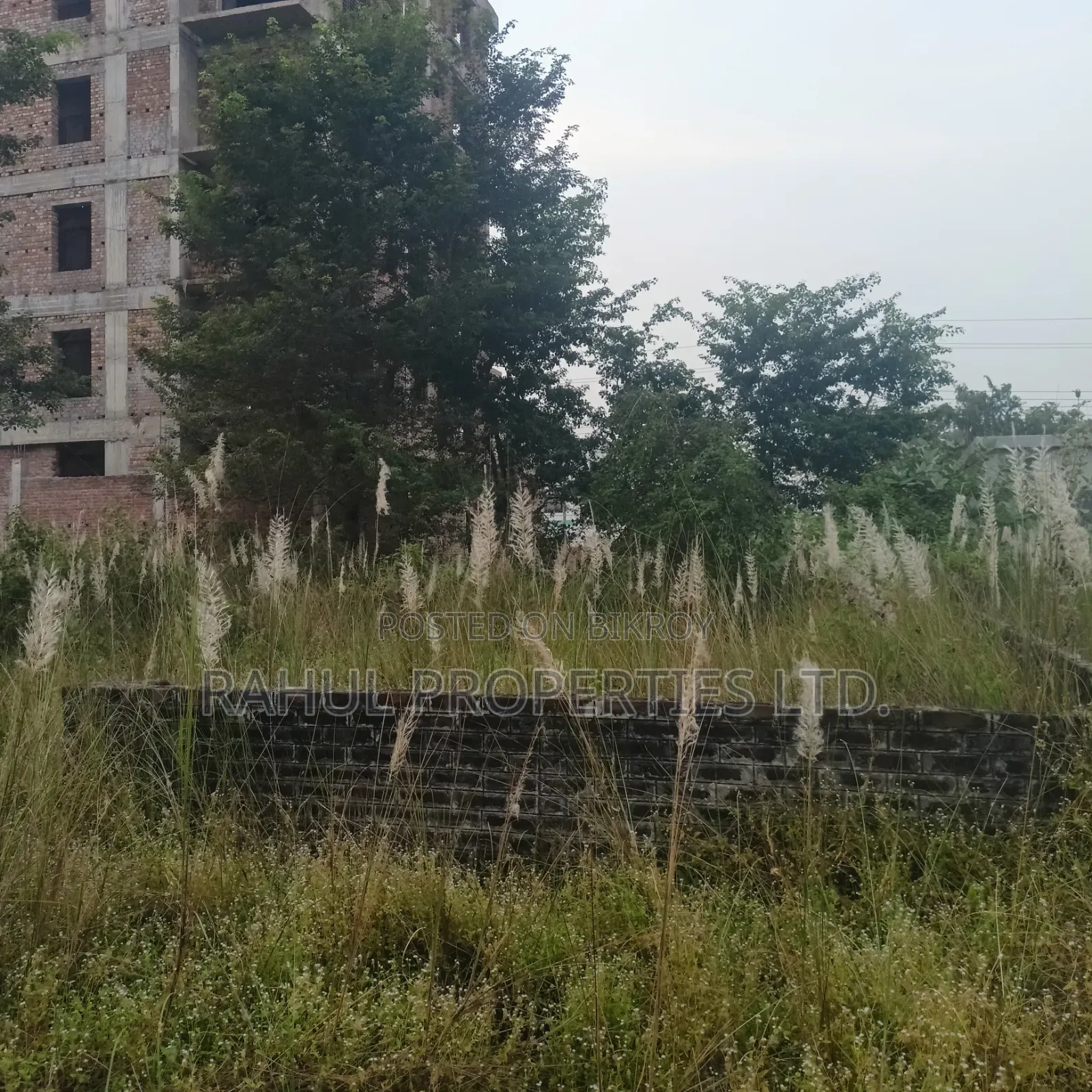 Urgent_ N Block [ 3 Katha ] Land For Sale Bashundhara. in Basundhara
