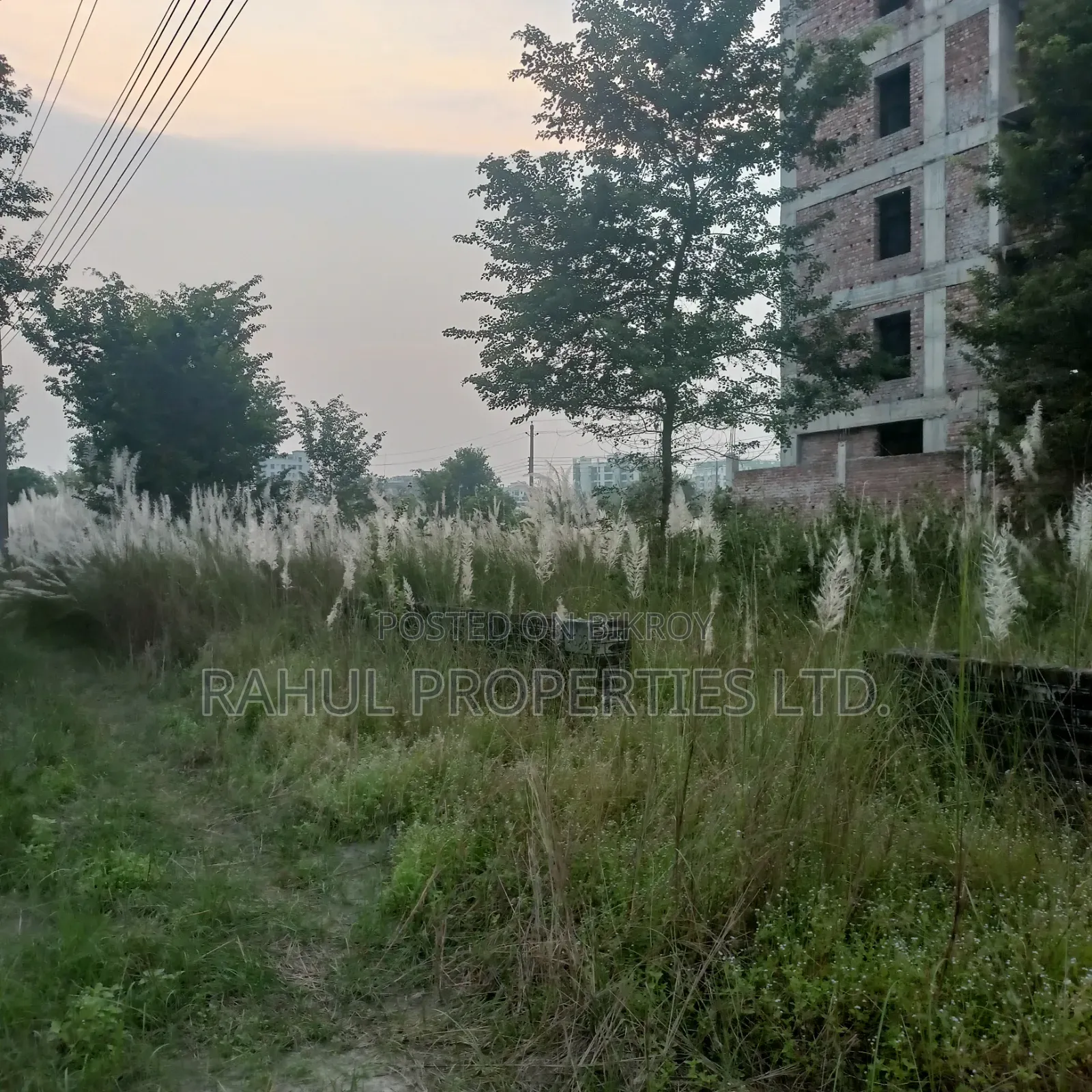 Urgent_ N Block [ 3 Katha ] Land For Sale Bashundhara. in Basundhara