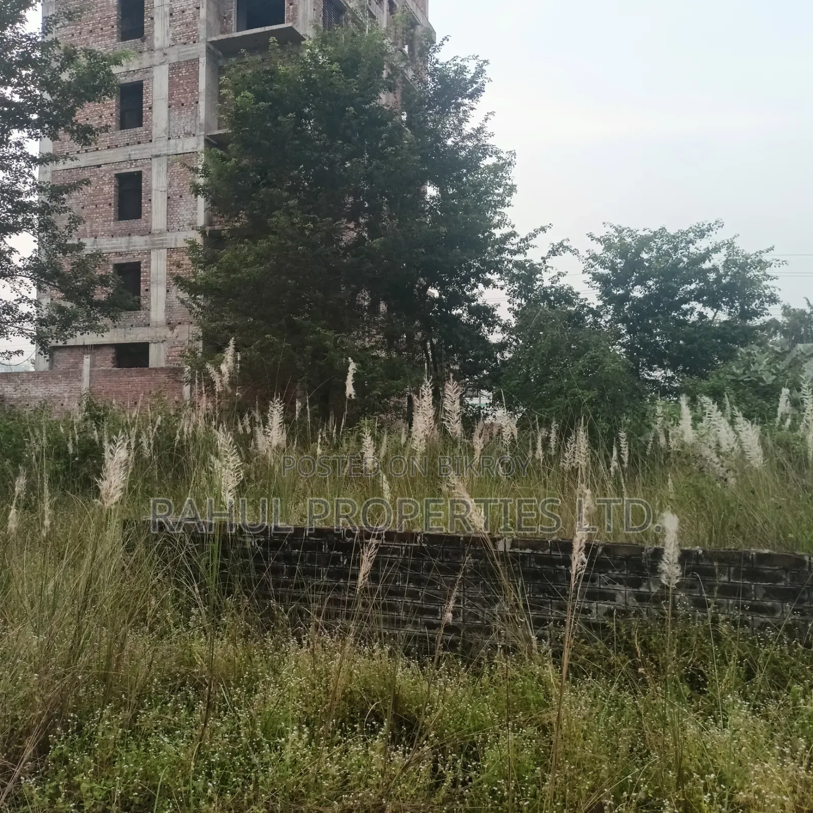 Urgent_ N Block [ 3 Katha ] Land For Sale Bashundhara. in Basundhara
