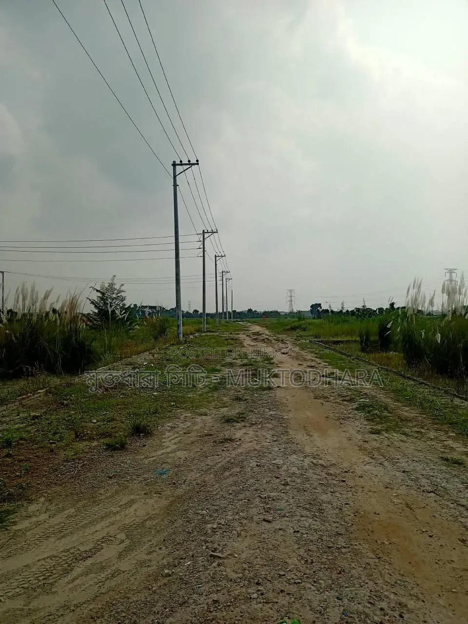 Let a piece of land bought with hard-earned money be in Muktodhara City in Keraniganj