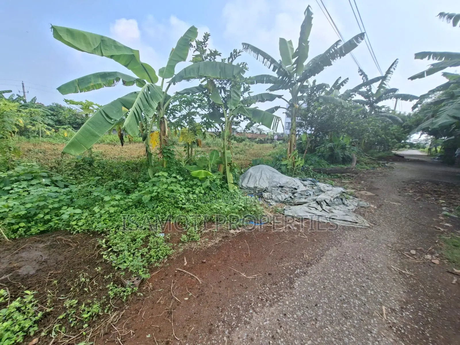 South Face 10 Katha Plot Sale in Rajuk Purbachal in Purbachal