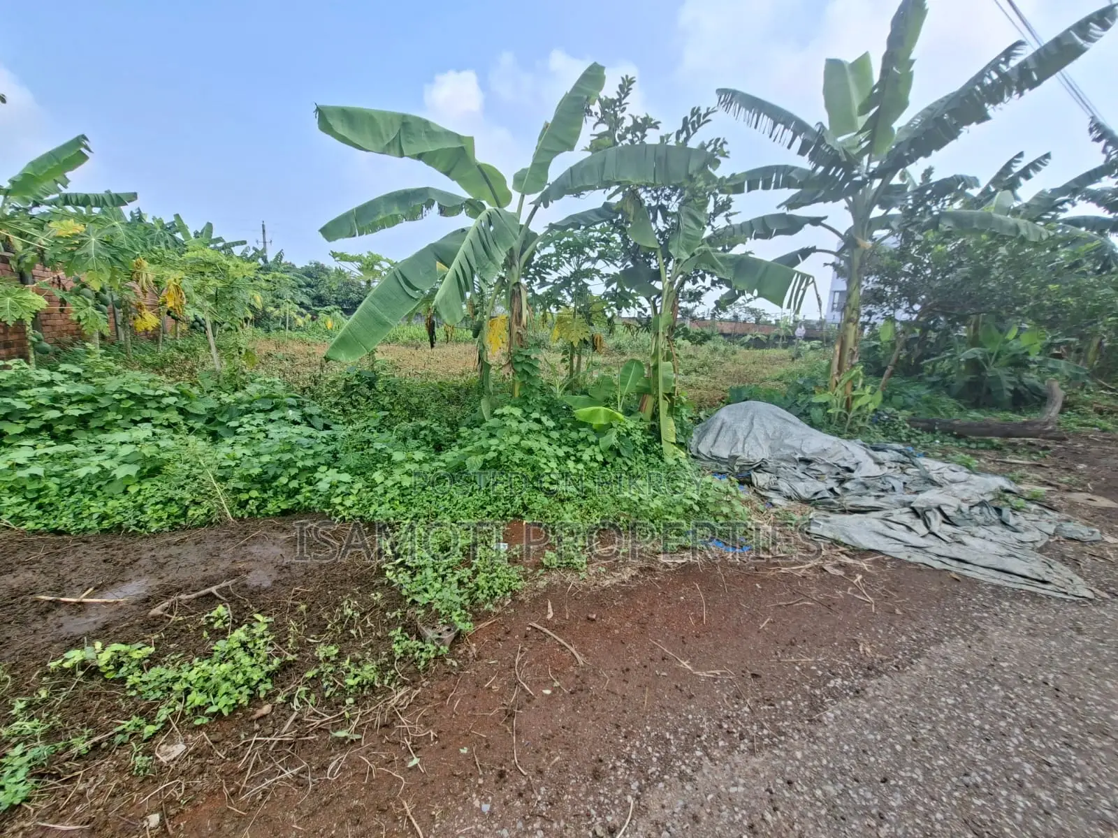 South Face 10 Katha Plot Sale in Rajuk Purbachal in Purbachal
