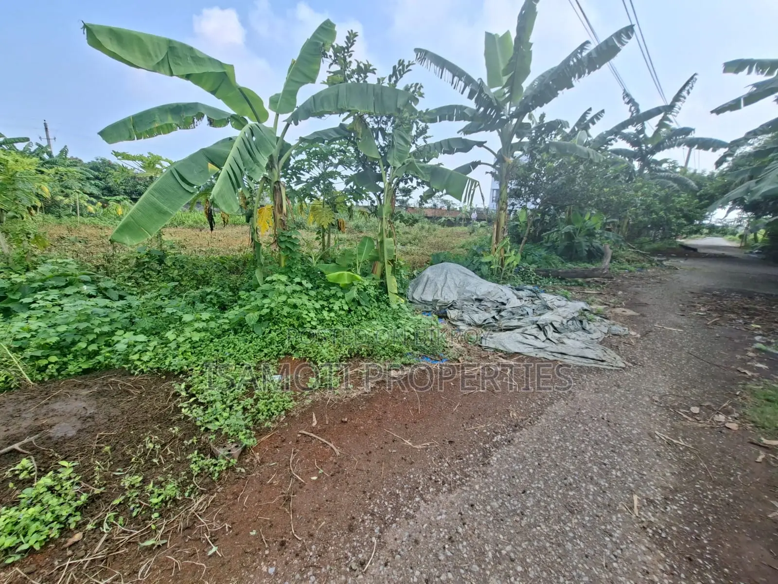 South Face 10 Katha Plot Sale in Rajuk Purbachal in Purbachal