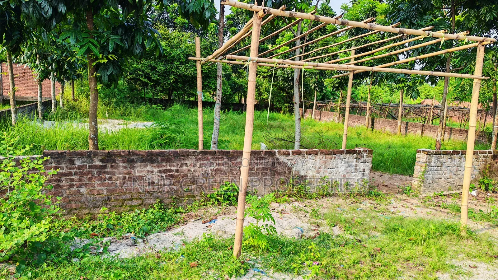 3 Katha South-Facing Plot for Sale in Purbachal