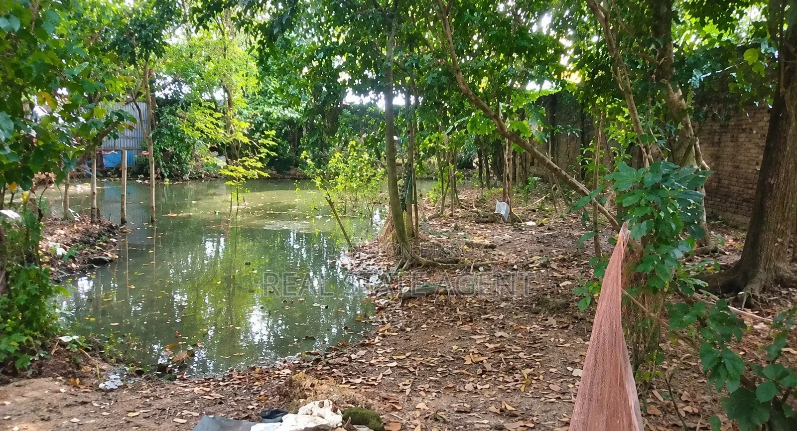 Land for sale notice 7.5 gonda. 1.9 million BDT per gonda. in Cornelhat