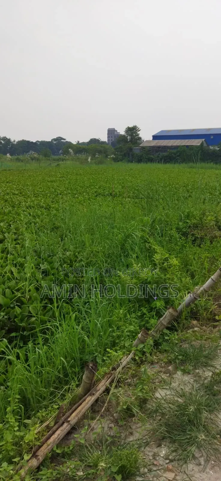 5 Bigha Boundary-Walled Land for Sale Along 300 Feet Road in Basundhara