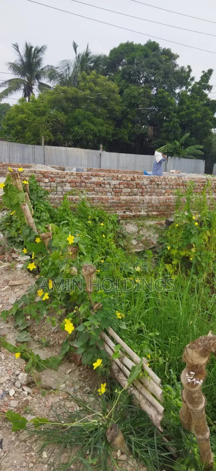 5 Bigha Boundary-Walled Land for Sale Along 300 Feet Road in Basundhara