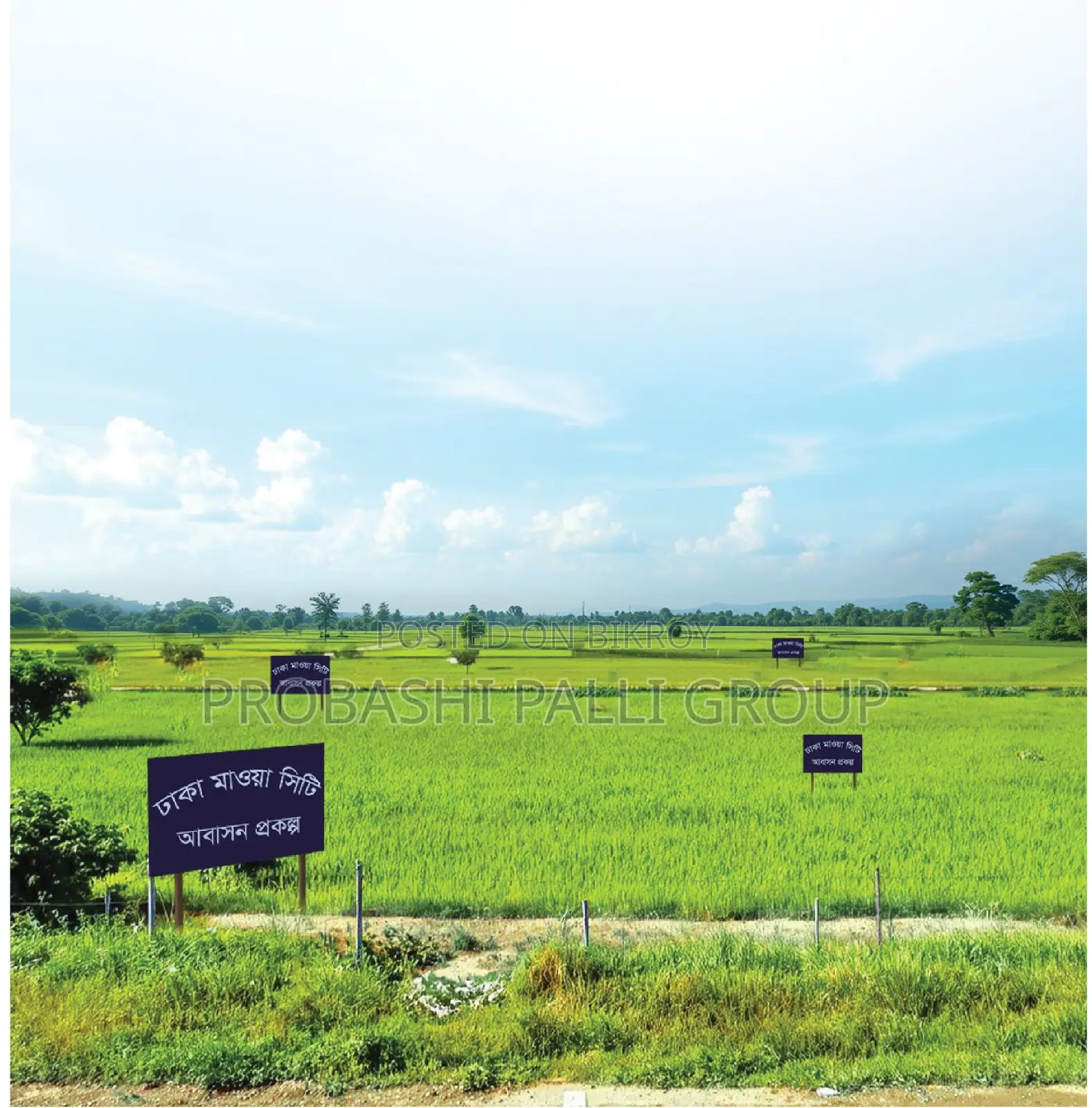 Buy a 03 katha plot at an affordable price in Banani