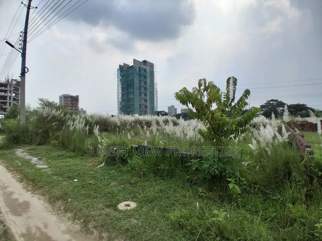 N-Block || 3+3 = 6 Katha || Urgent Sale Plot in Basundhara