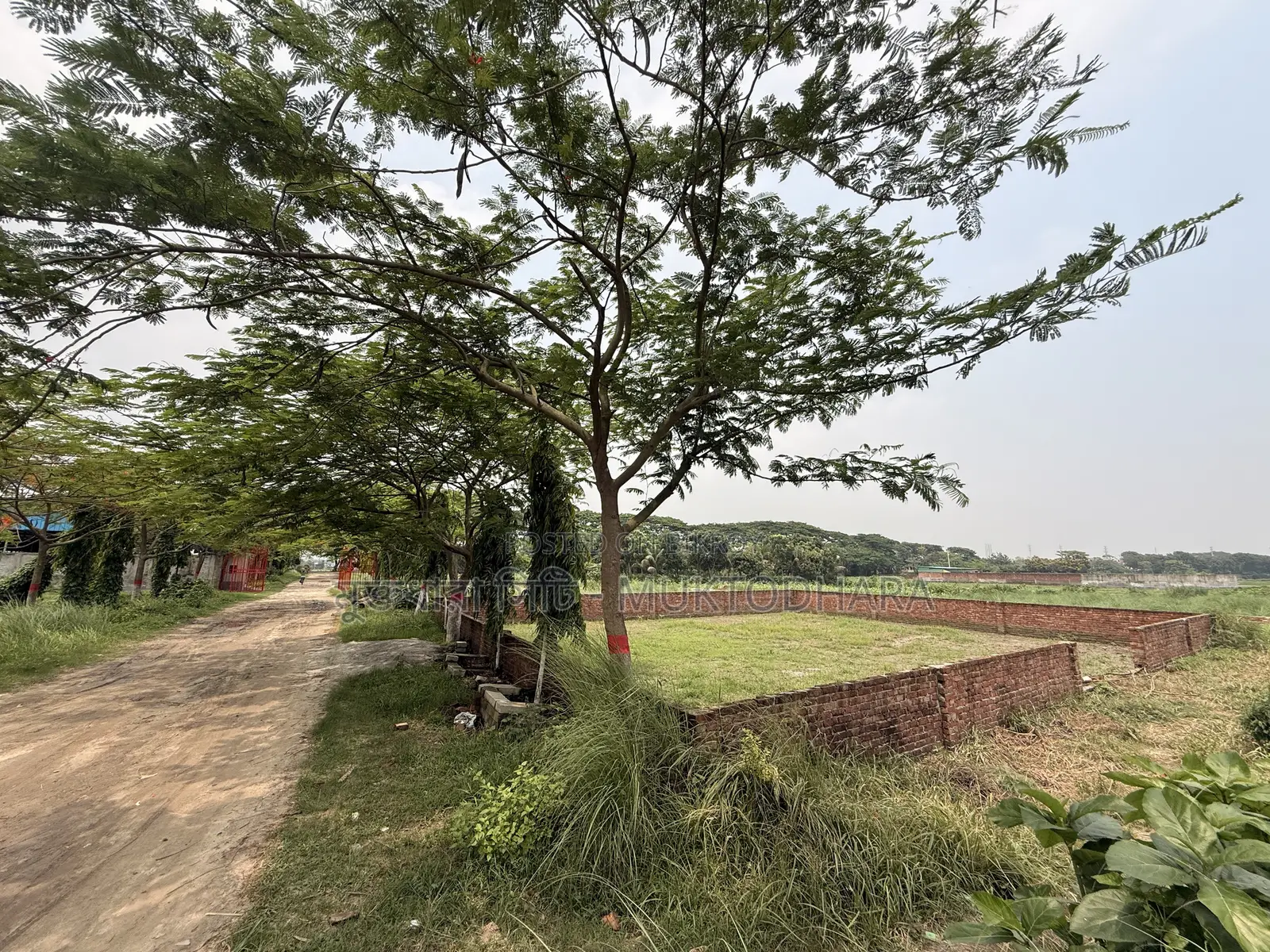 Plot Sell at Muktodhara City in Bosila