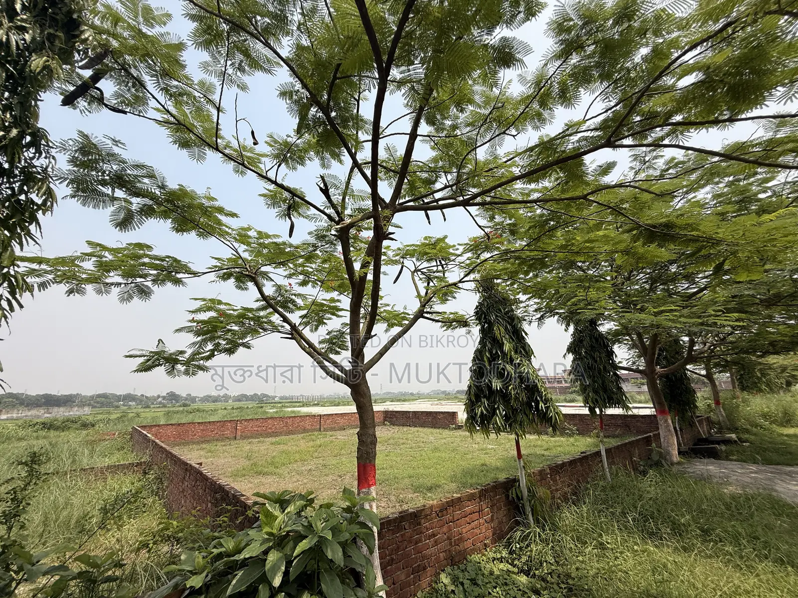 Plot Sell at Muktodhara City in Bosila