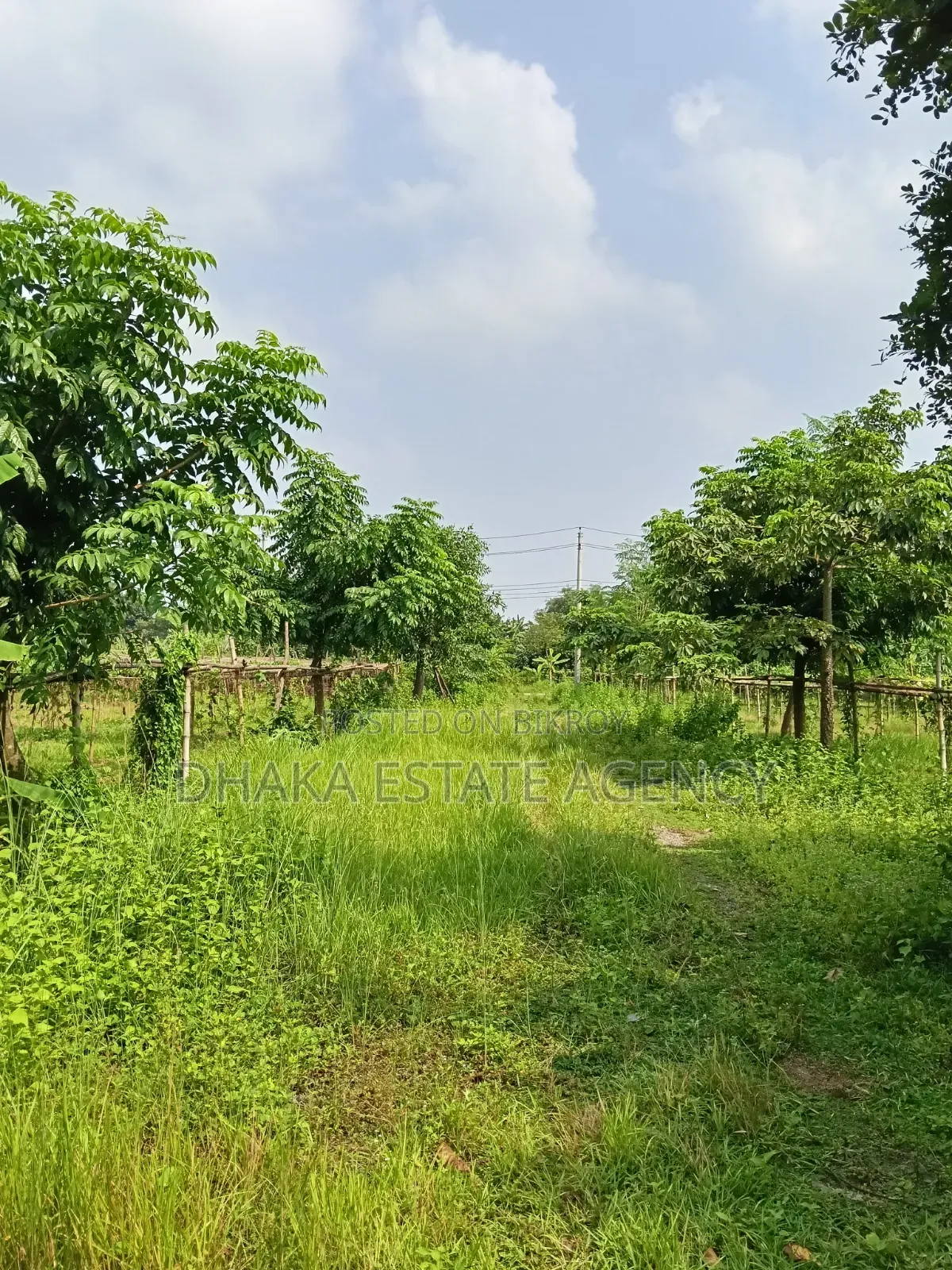 Sector-17D, 3 Katha Very Very Close Metro Station in Uttara