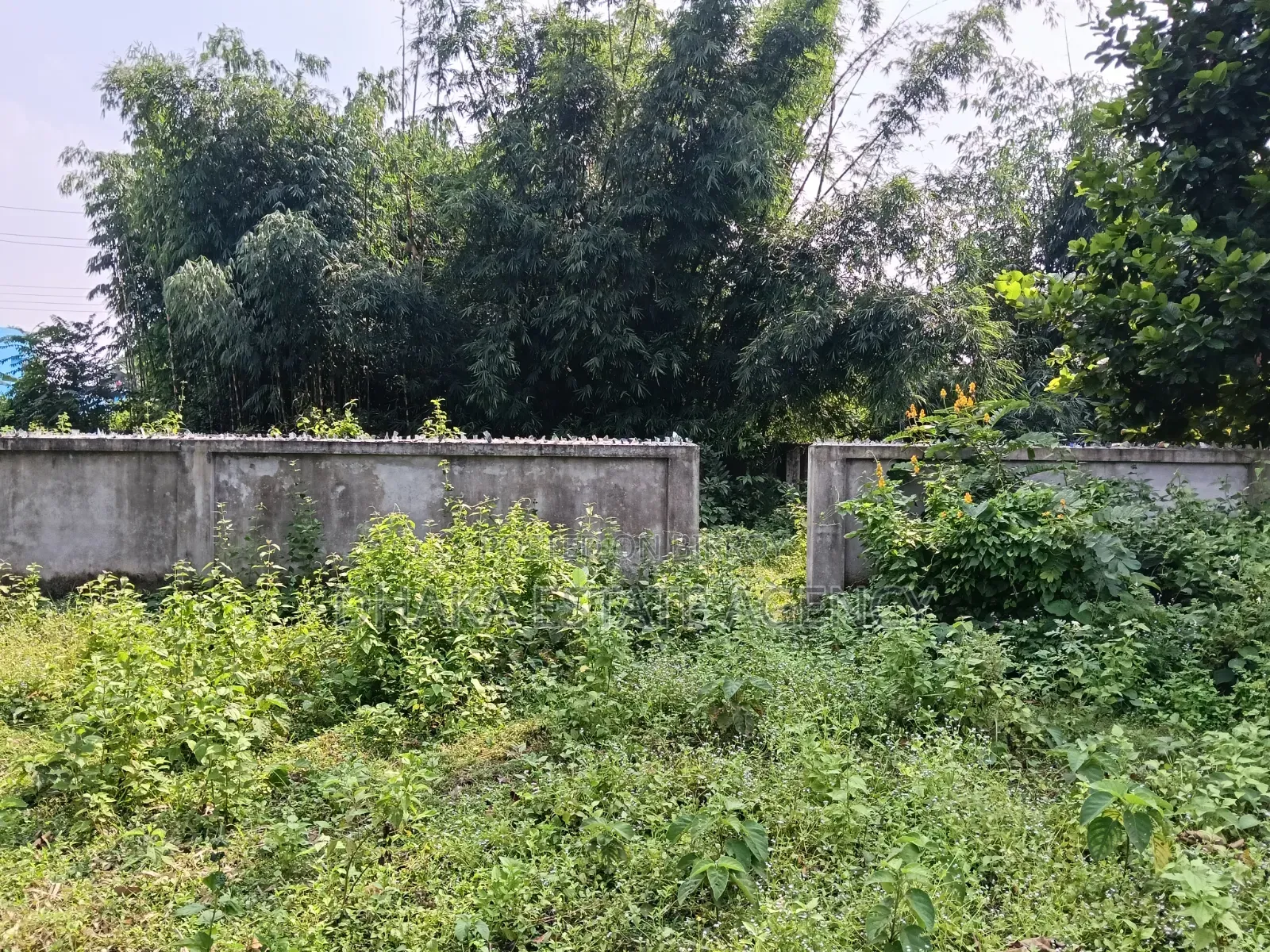 Sector-17D, 3 Katha Very Very Close Metro Station in Uttara