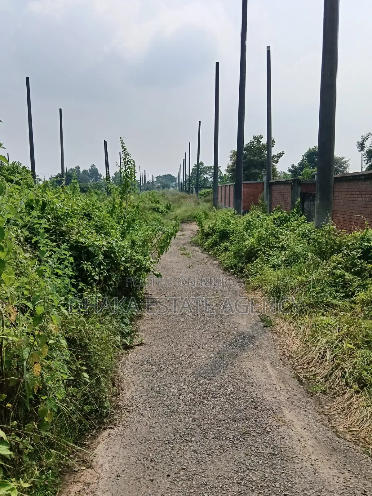 Sector 17A, South-Facing 3 Katha Plot for Sale in Uttara