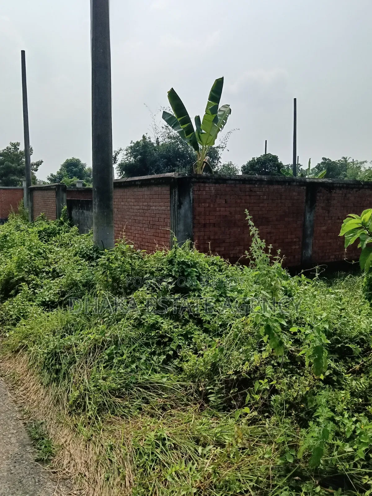 Sector 17A, South-Facing 3 Katha Plot for Sale in Uttara