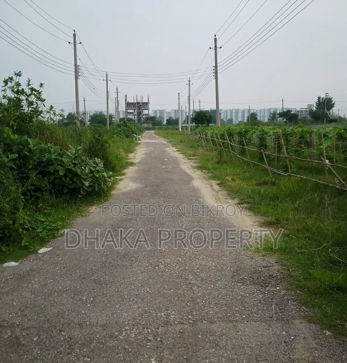 34ft Road 5 Katha Park North at Sector-16/C in Uttara