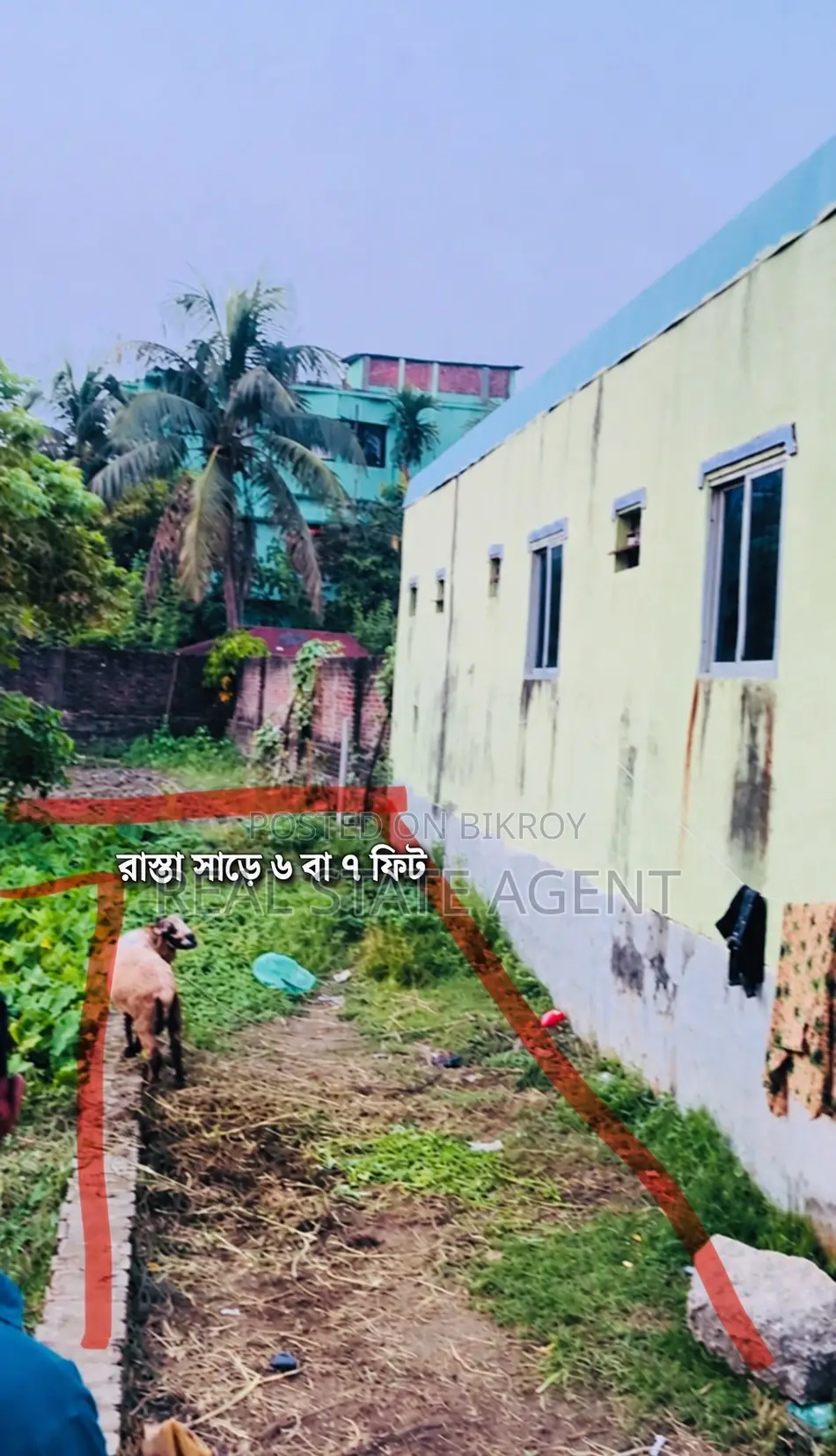 1 Gonda 1 Kora Empty Land Available for Only 40 Lakh Taka in Cornelhat