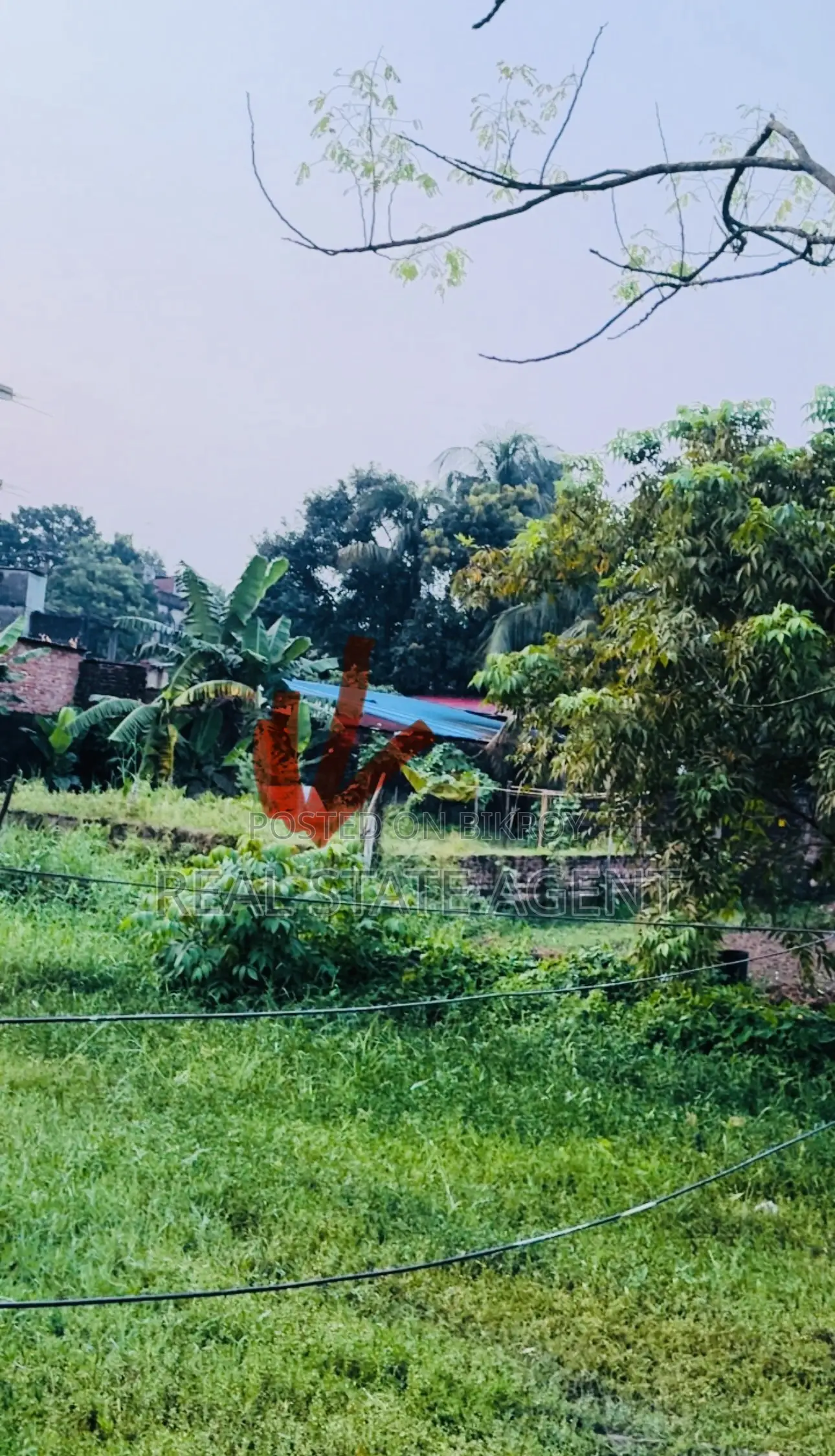 1 Gonda 1 Kora Empty Land Available for Only 40 Lakh Taka in Cornelhat