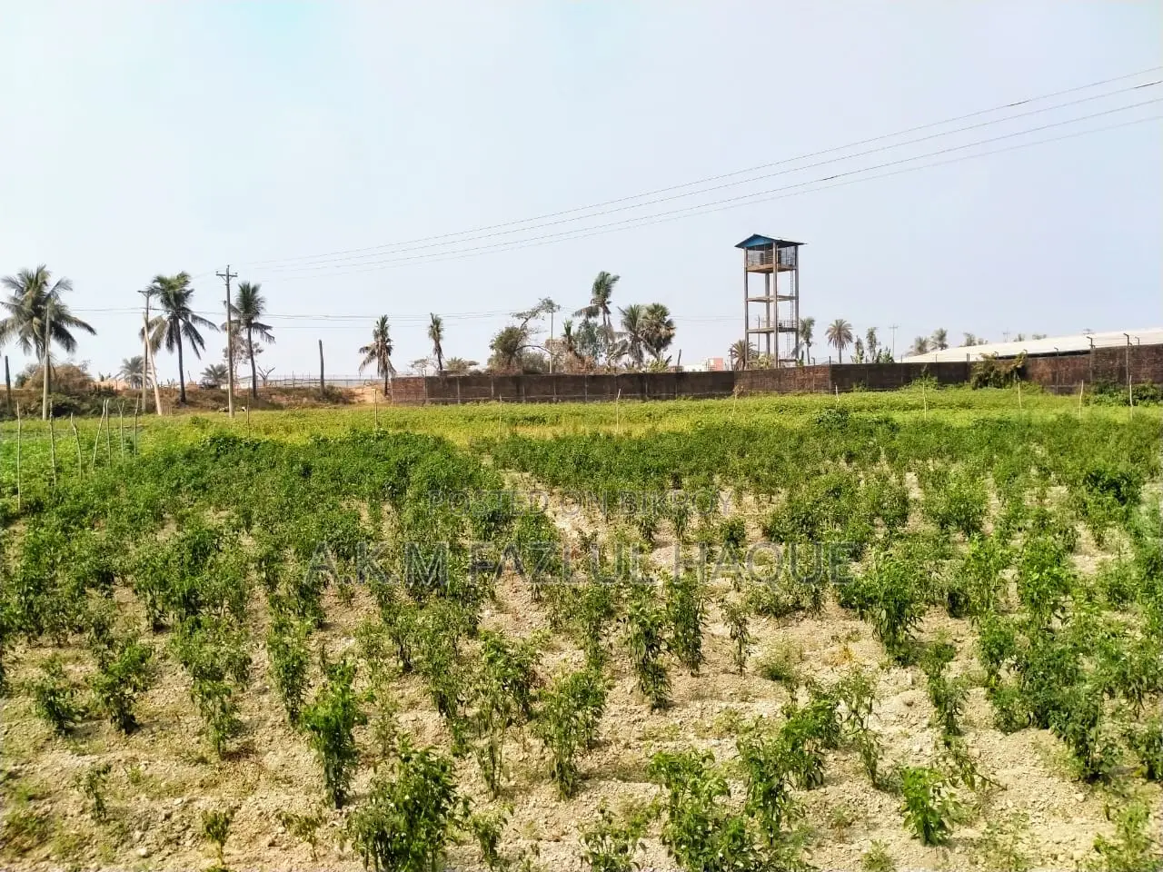 Land Sale in Mirsharai Economic Zone. Land Size-212 Decimal. in Mirsharai