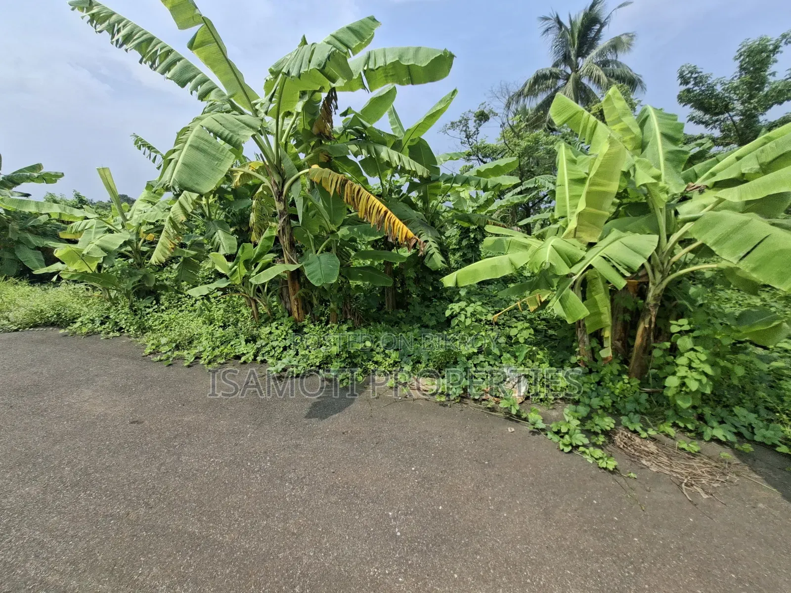 দক্ষিণ মুখে ৩ কাটা প্লট বিক্রয় সেক্টর ২৬ in Purbachal