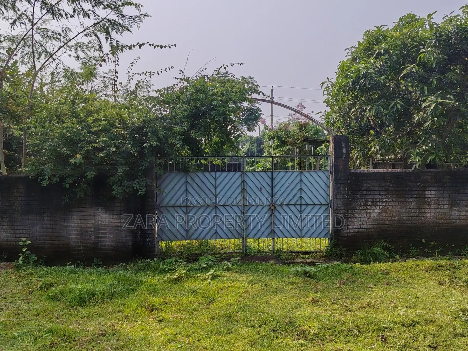 5 Katha South Facing Near 300 Feet in Sector 18 in Purbachal
