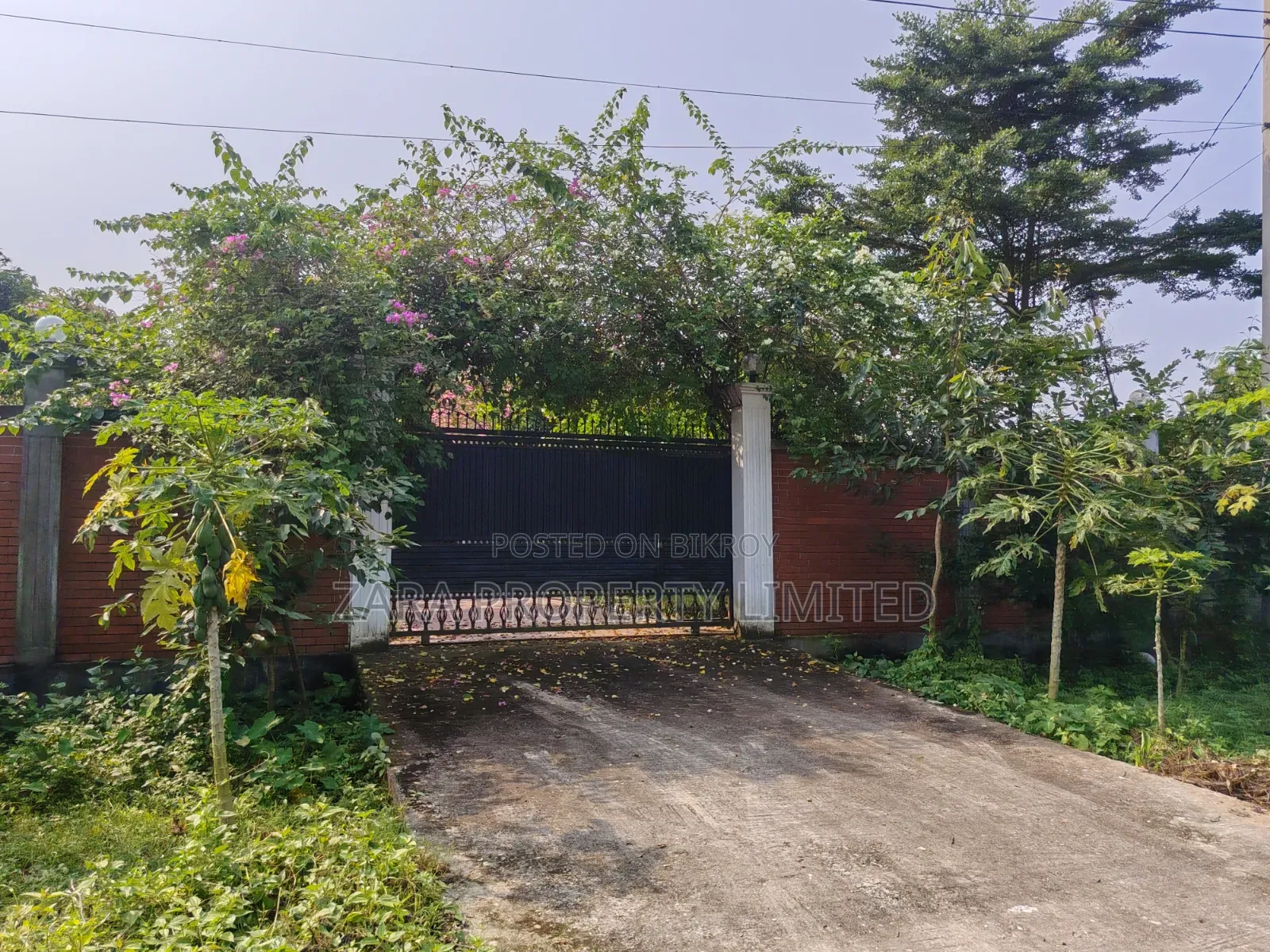 3 Katha Plot for Sale Near Helipet Chattar in Purbachal