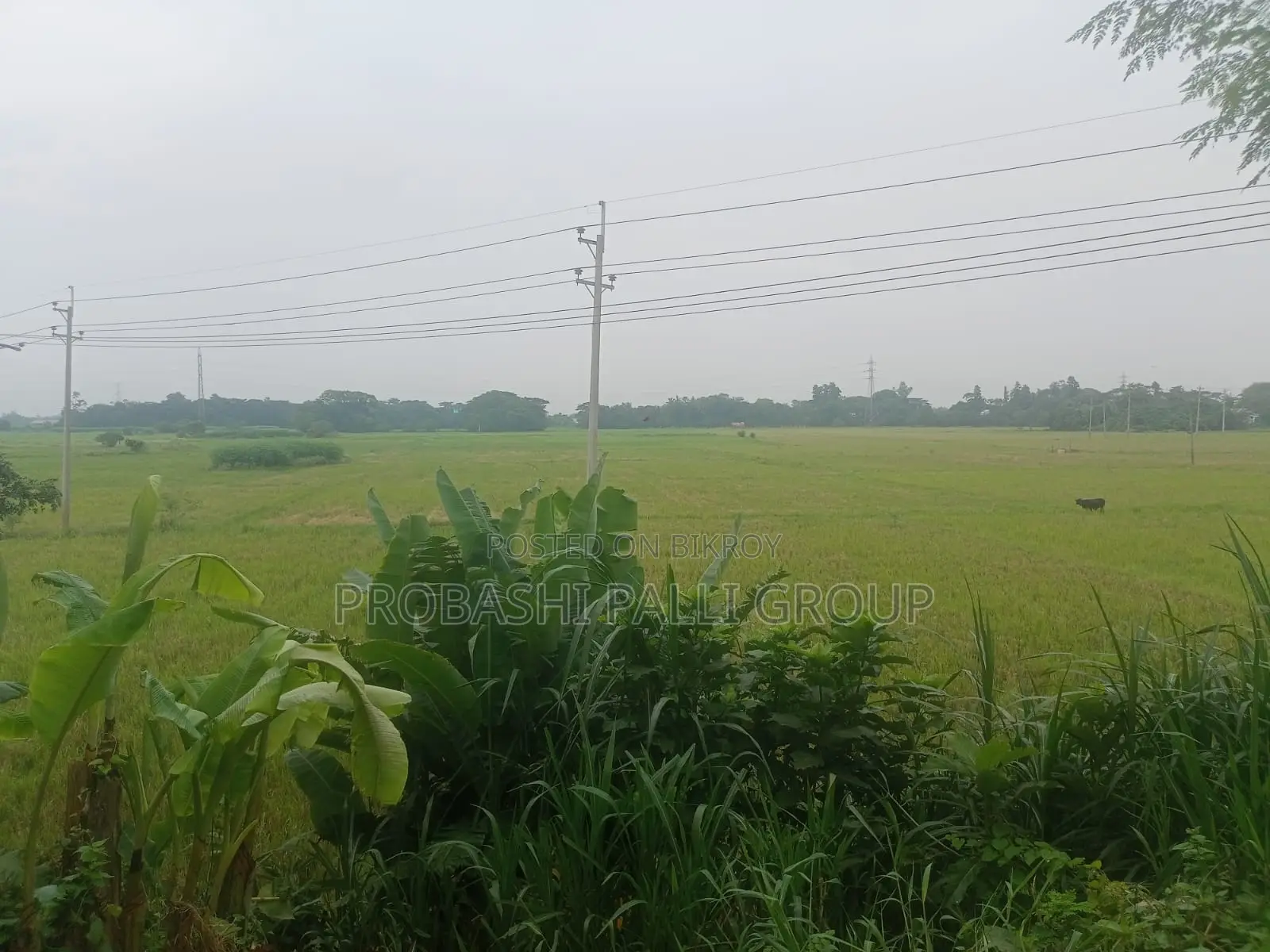 Let your investment be in a safe housing. in Banani