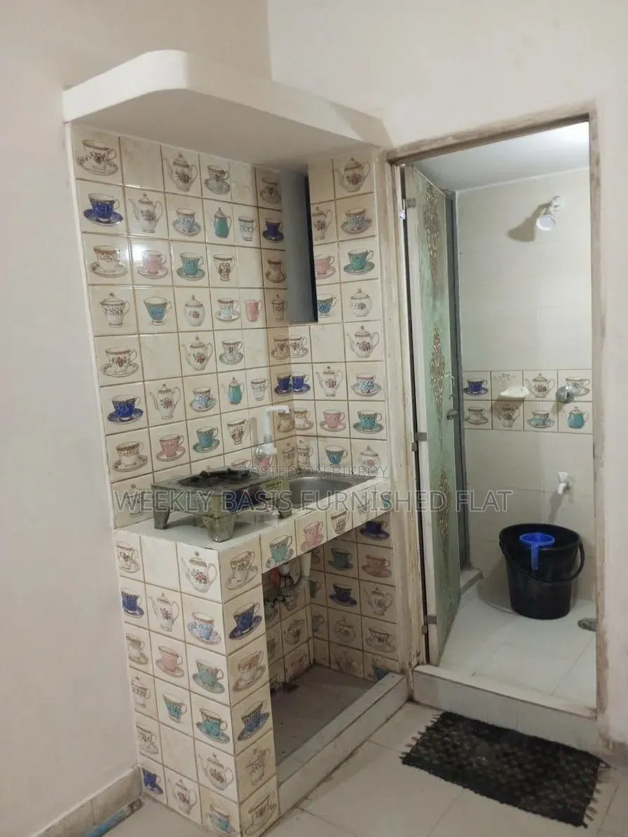 Furnished Studio Apartment for Expats in Mirpur for Rent in Mirpur