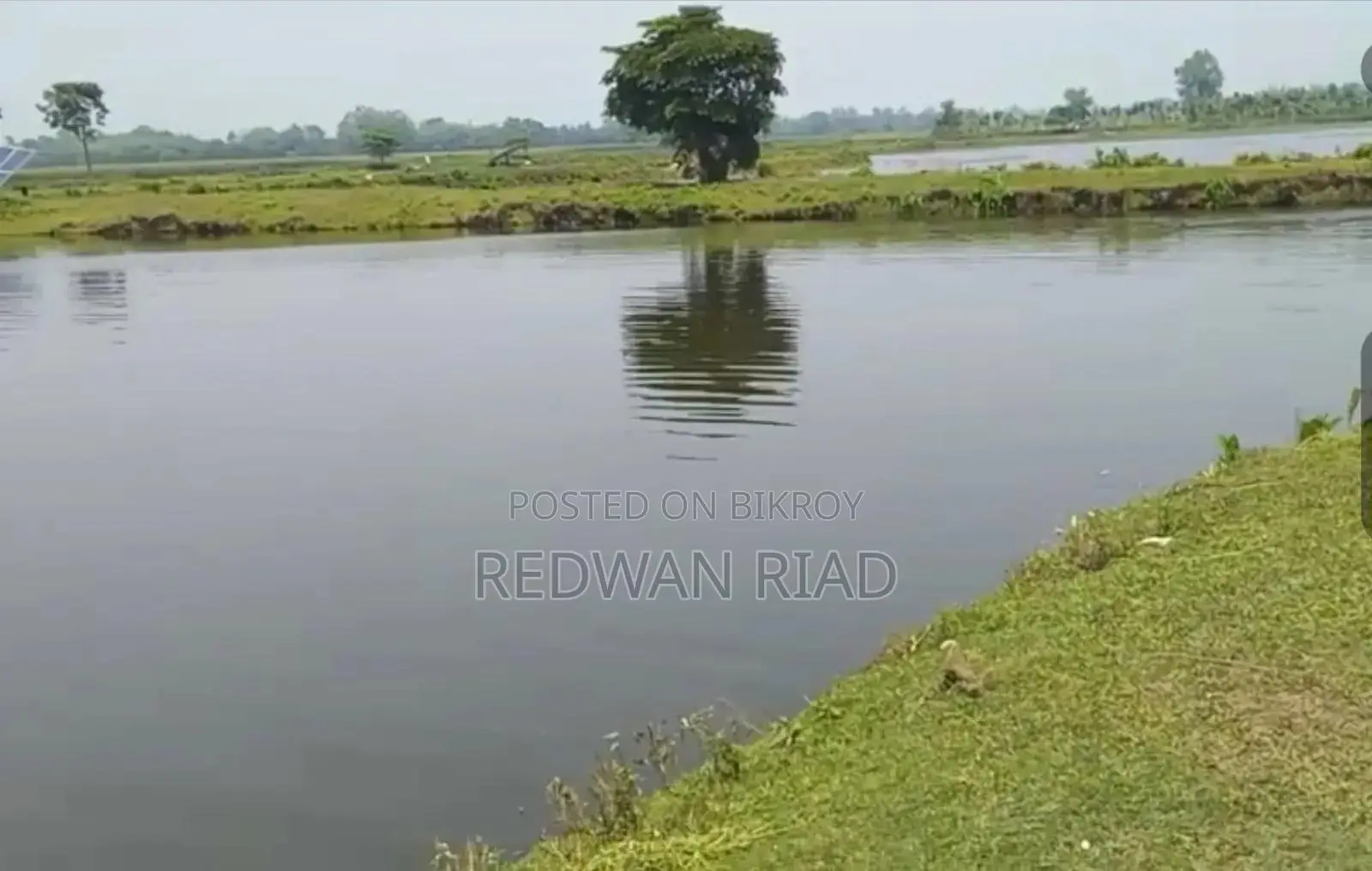 Pond for Sale in Thakurgaon Sadar in Thakurgaon Sadar