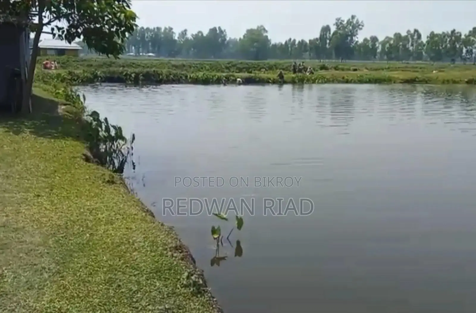 Pond for Sale in Thakurgaon Sadar in Thakurgaon Sadar