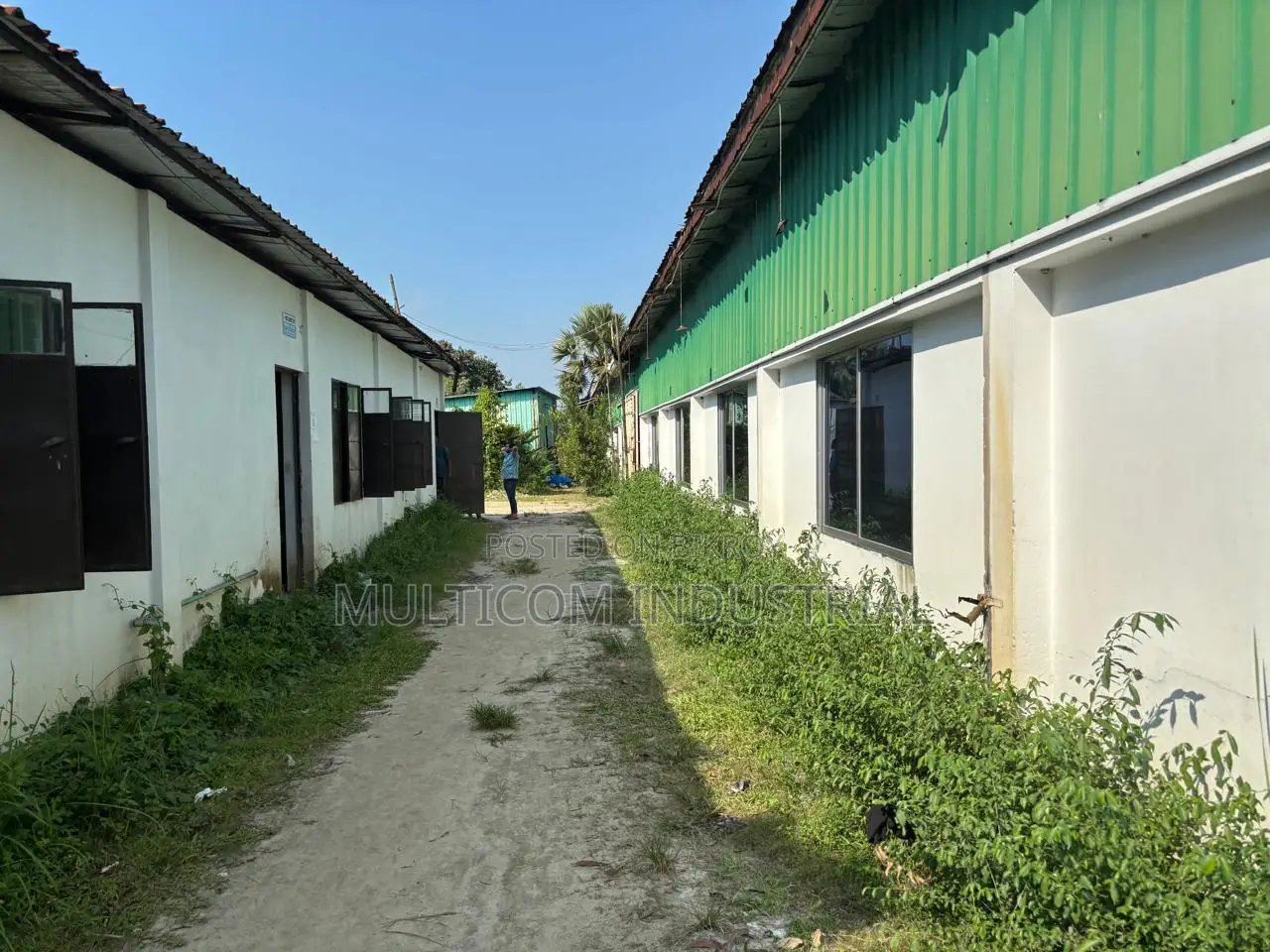 85000 sq.ft Garments Factory Shed At Sreepur, Gazipur in Sreepur