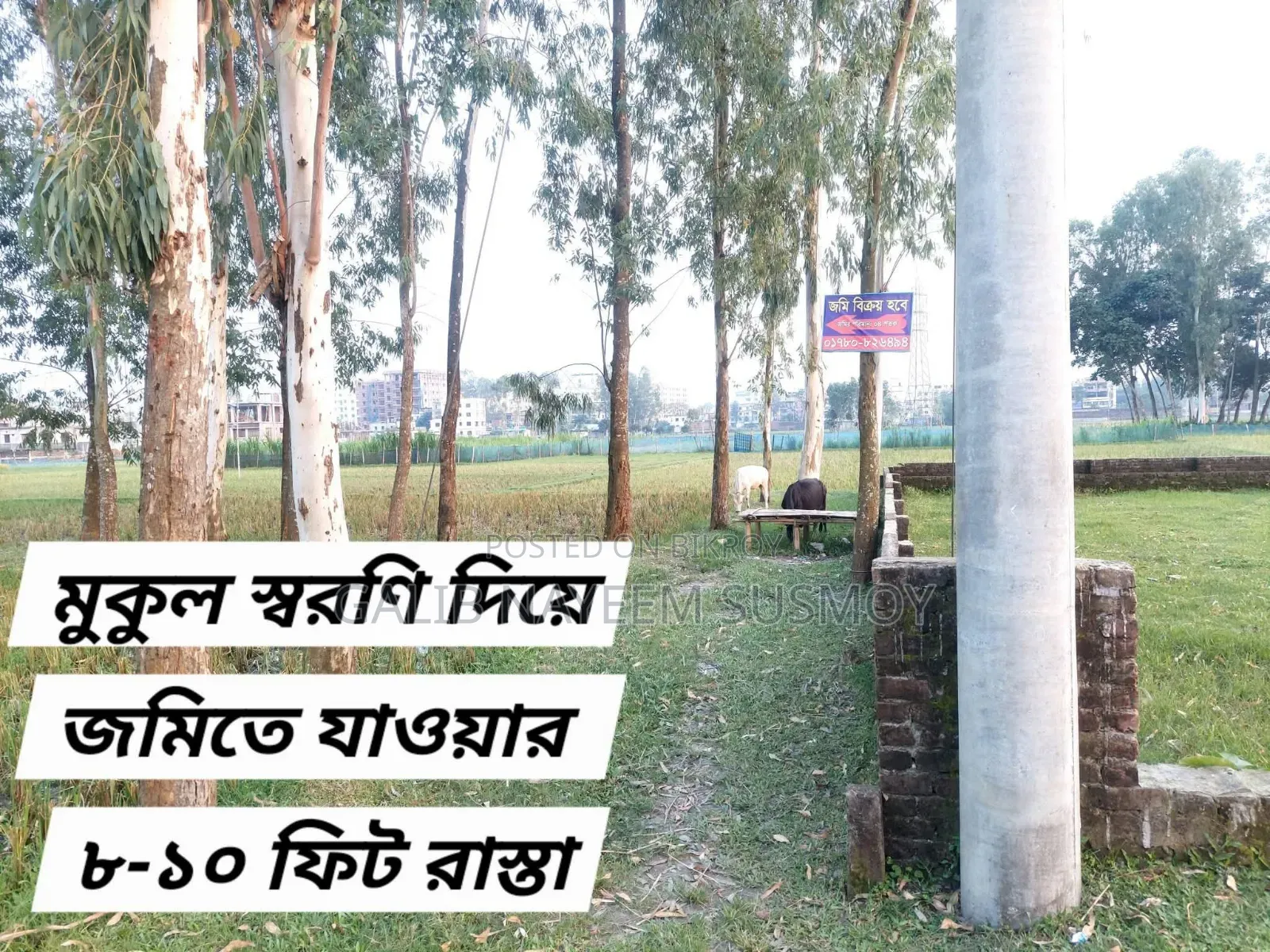 4 Decimals Land for Sale! in Terminal Road