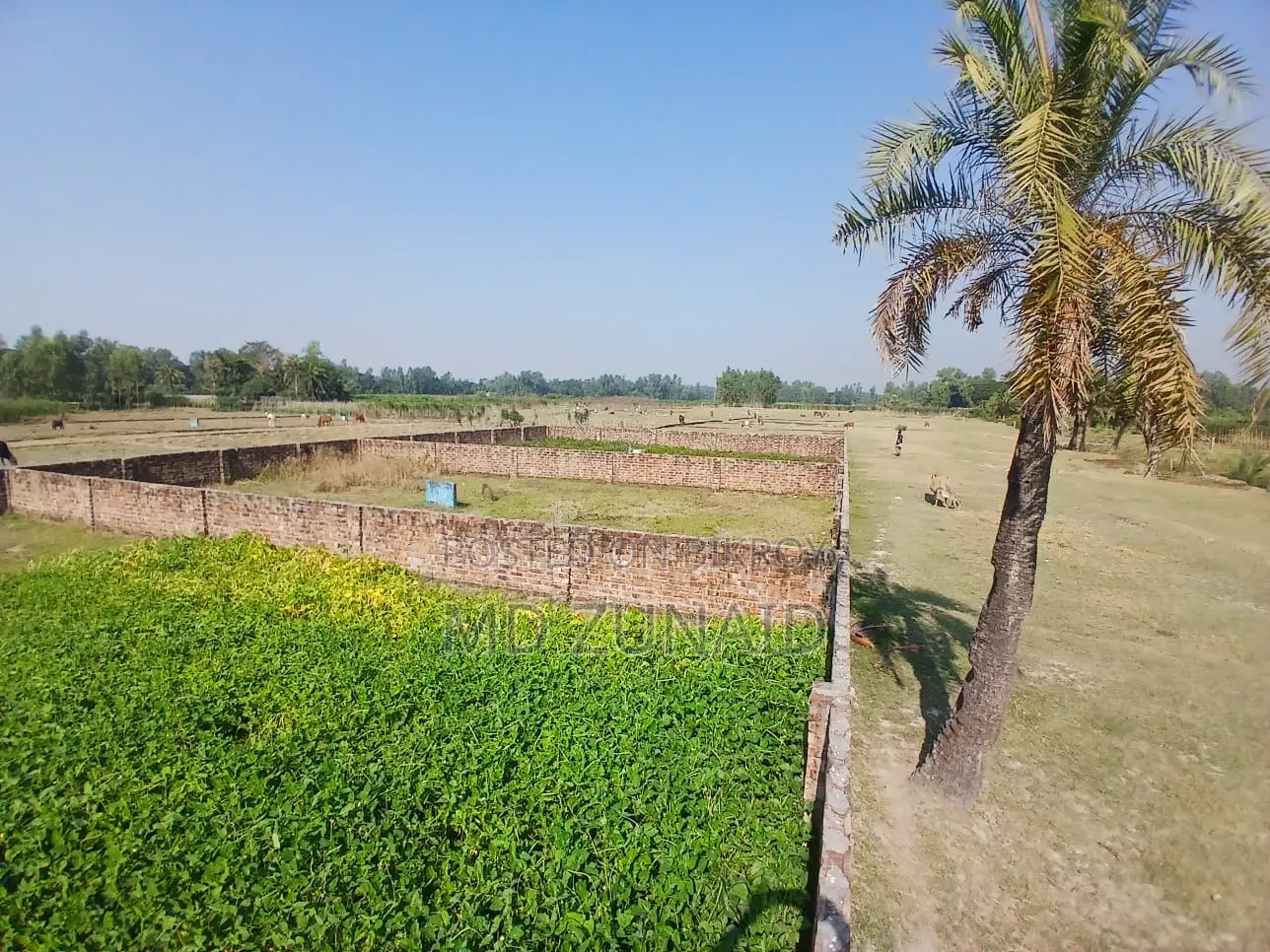 Land Sale, Land Sale in Sitakunda
