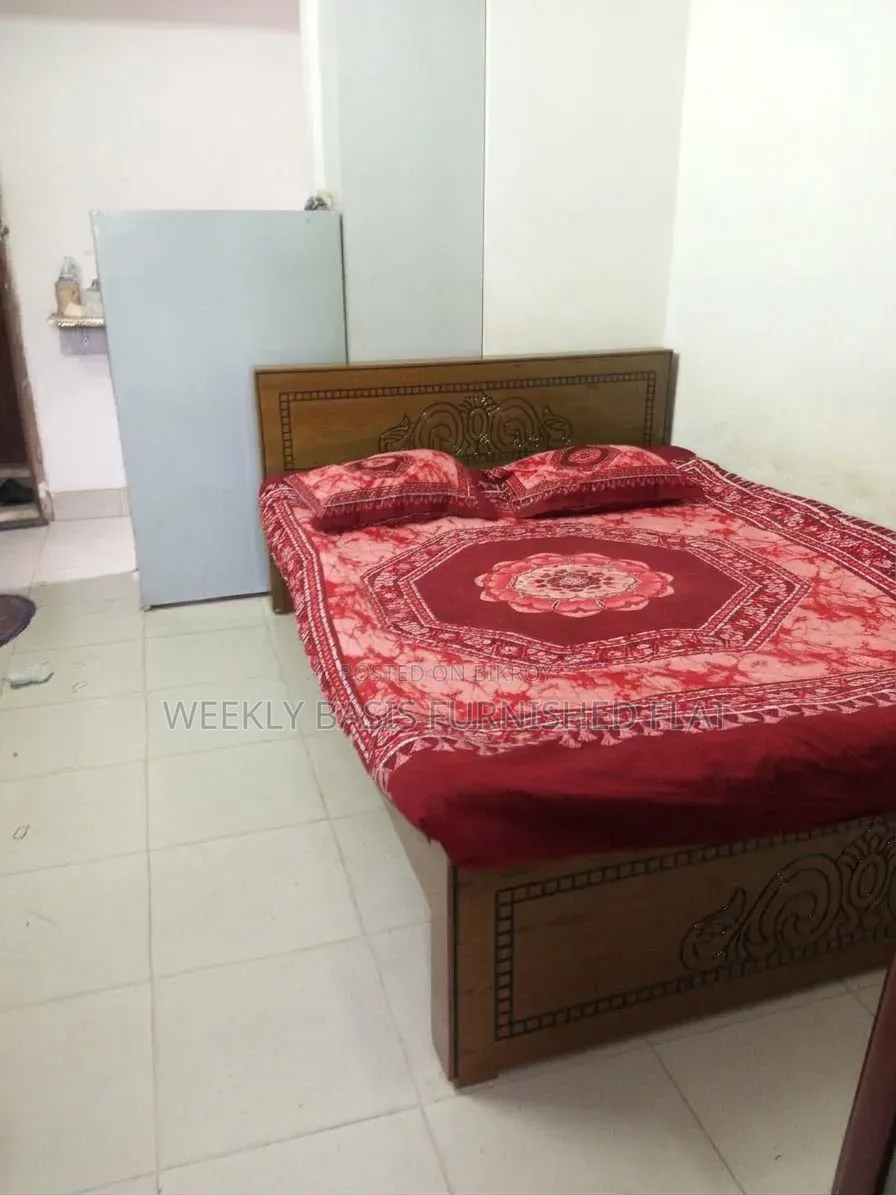 Furnished Studio Apartment in Treatment, Mirpur for rent in Mirpur