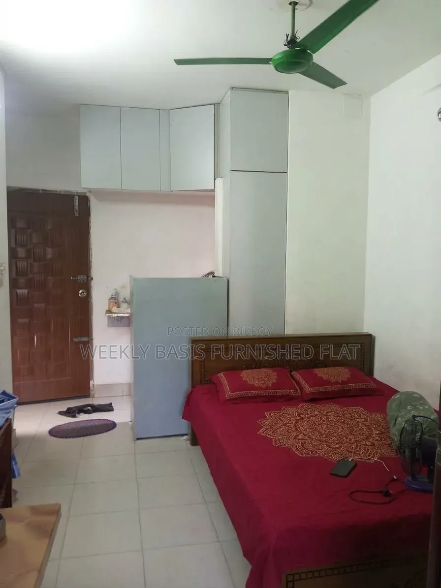 Furnished Studio Apartment in Treatment, Mirpur for rent in Mirpur