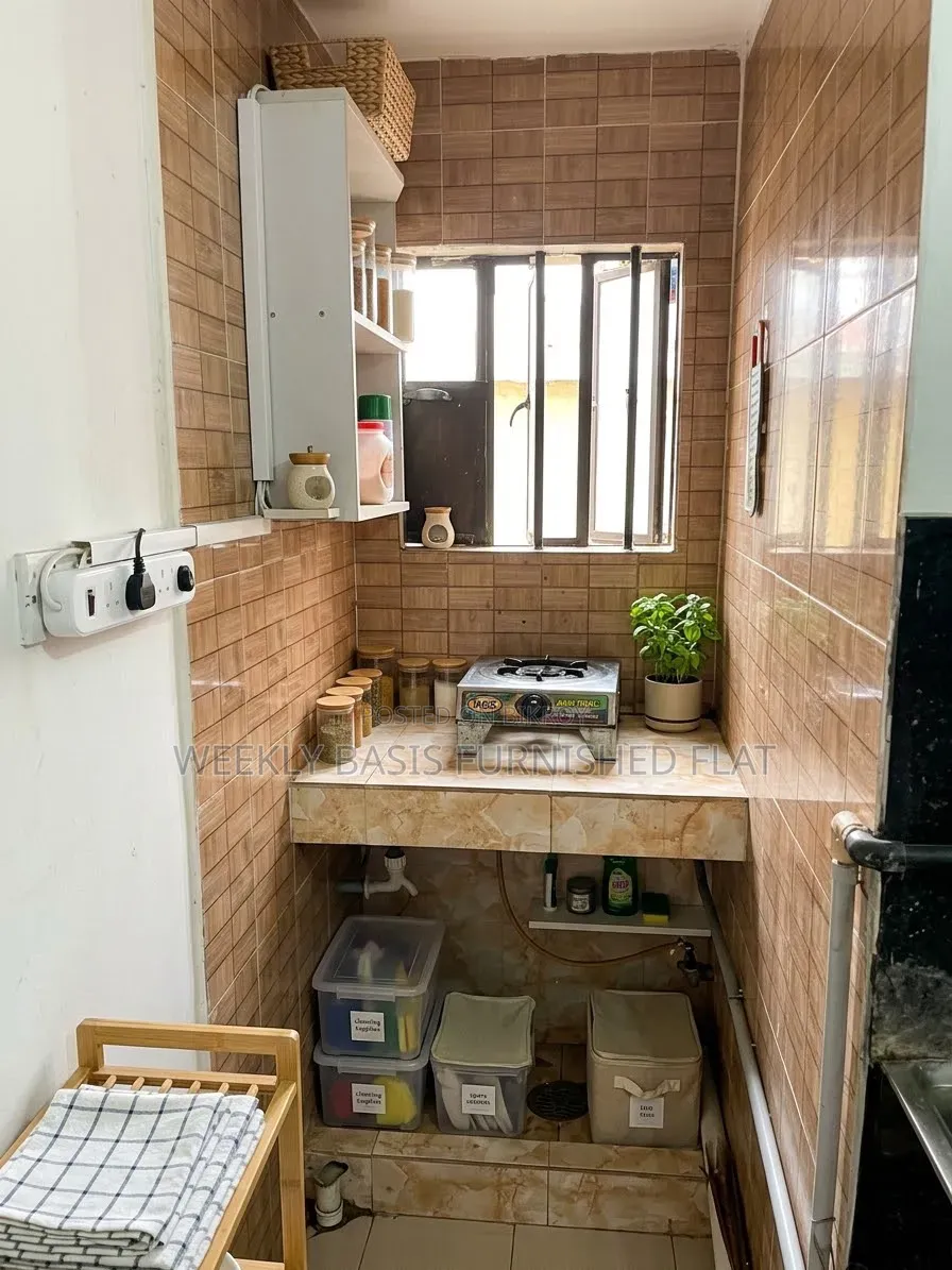 Furnished Studio Apartment in Treatment, Mirpur for rent in Mirpur