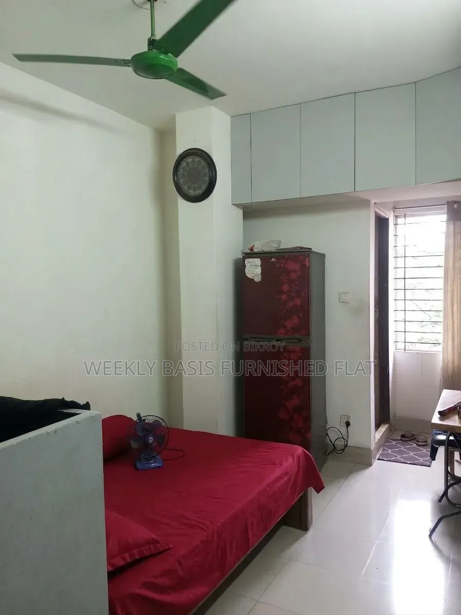 Furnished Studio Apartment in Treatment, Mirpur for rent in Mirpur