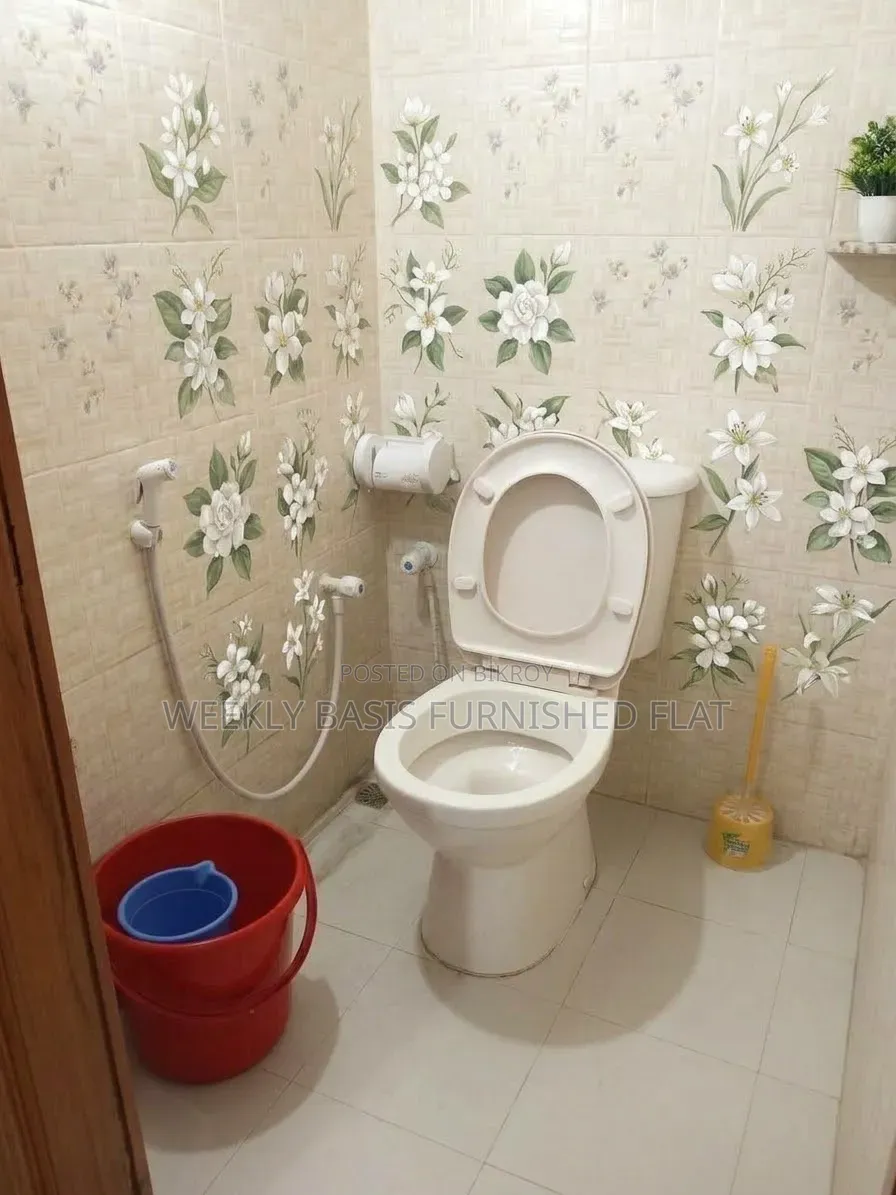 Furnished Studio Apartment in Treatment, Mirpur for rent in Mirpur