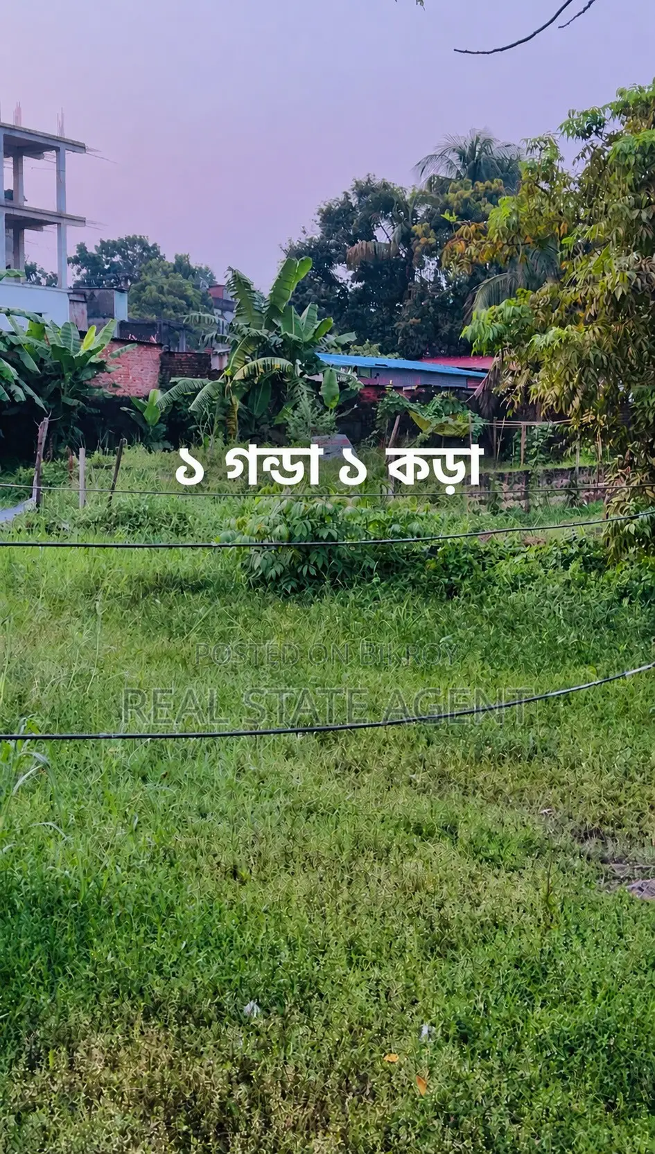 1 Gonda 1 Kora Empty Land Available for Only 40 Lakh Taka in Cornelhat