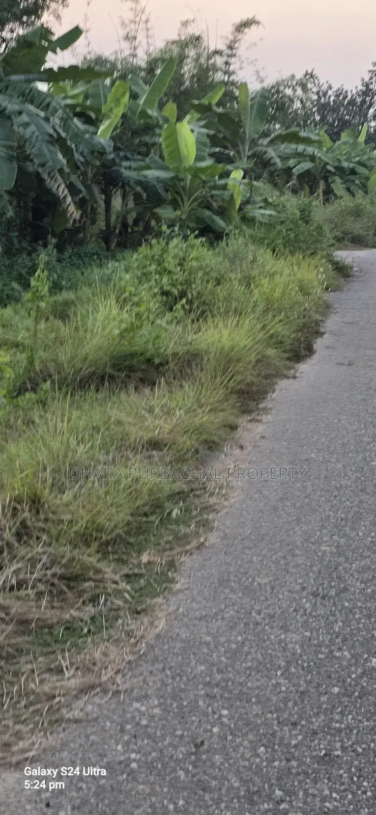 5 Katha Plot for Sale Near Purbachal Scenic Environment Natural Forest in Purbachal