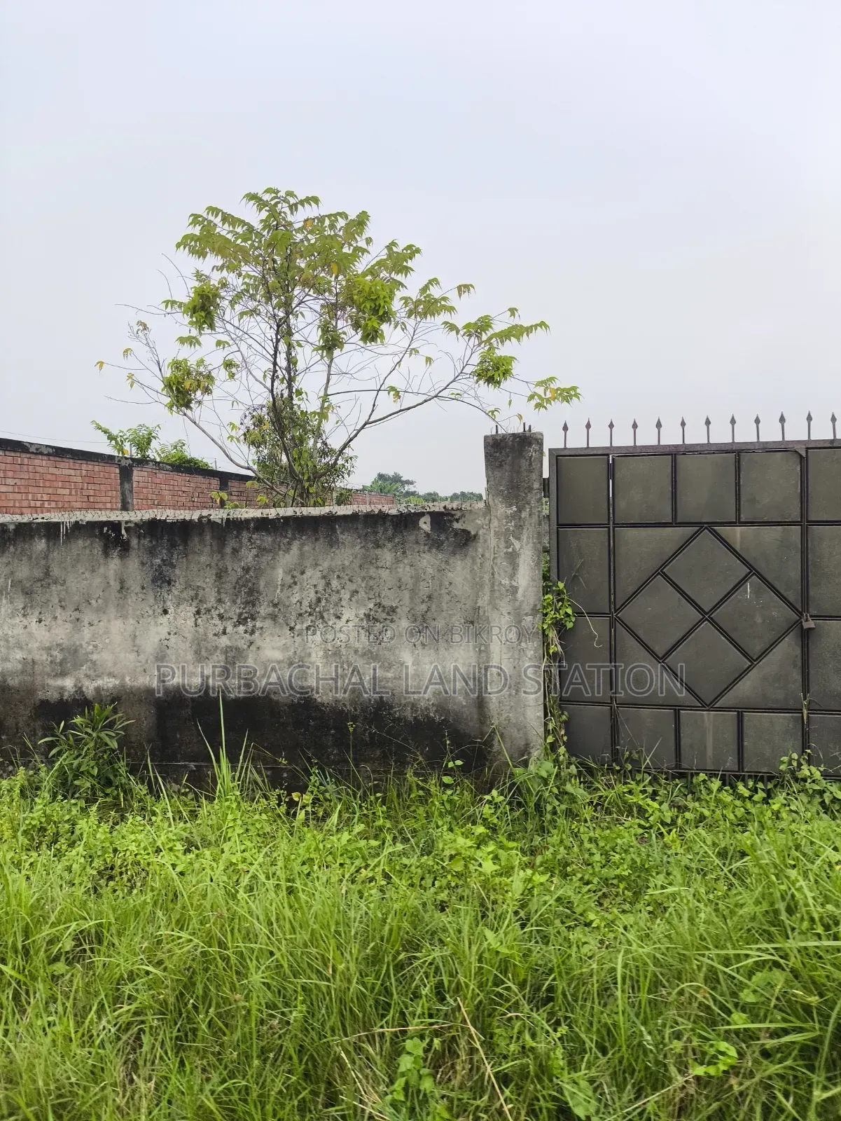 75 Feet Road South Face 3 Katha Plot Sale in Sector: 20, Purbachal in Purbachal